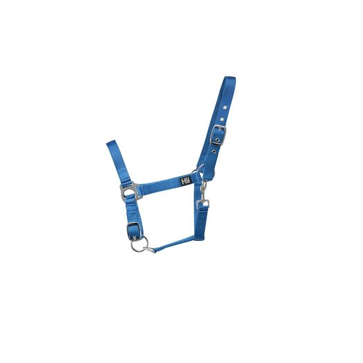 Hy Equestrian Economy Plus Headcollar Kingfisher