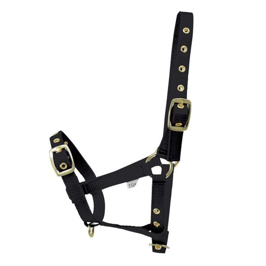 Hy Equestrian Foal Headcollar Black