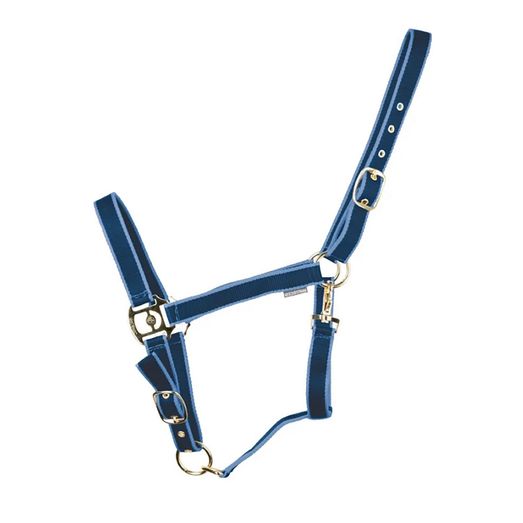 Hyconic Headcollar Head Collar Navy/Blue