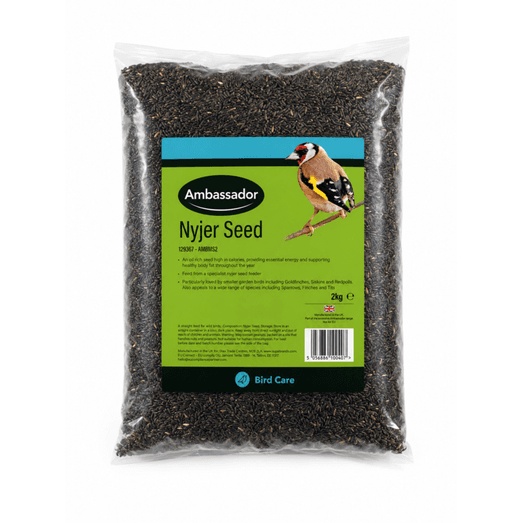 Ambassador Nyjer Seed