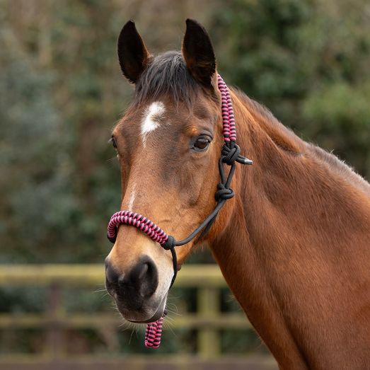 Hy Equestrian Double Braid Rope Halter Pink