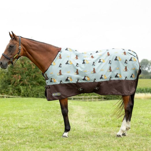 Stormx Original It'S A Dog'S Life 50g Turnout Rug Dusty Blue