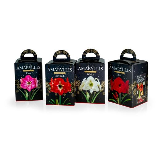 Deree Gift Kits