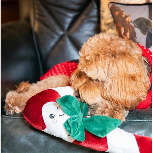 Rosewood Cupid &amp; Comet Clarke Candy Cane