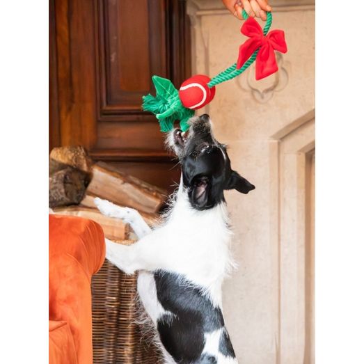 Rosewood Cupid &amp; Comet Holly Jolly Rope Toy