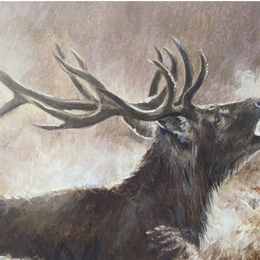 Caroline Cook Equestrian Cards The Roaring Stag