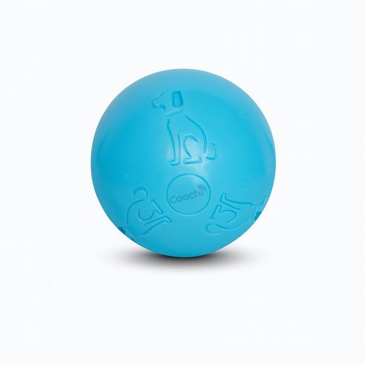 Coachi Boomi Ball Sky Blue