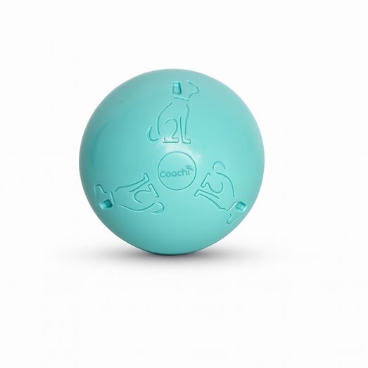 Coachi Puppy &amp; Mini Boomi Ball Cool Mint