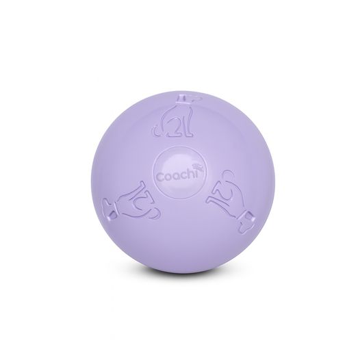 Coachi Puppy &amp; Mini Boomi Ball Ice Purple
