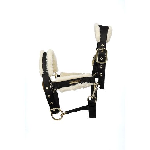 Coldstream Langlee Luxury Headcollar &amp; Lead Rope Black