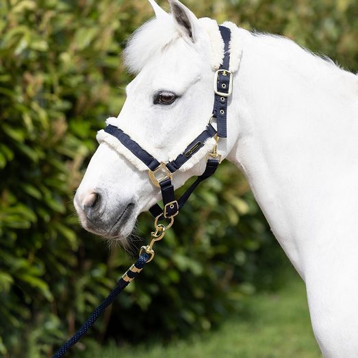 Coldstream Langlee Luxury Headcollar &amp; Lead Rope Navy