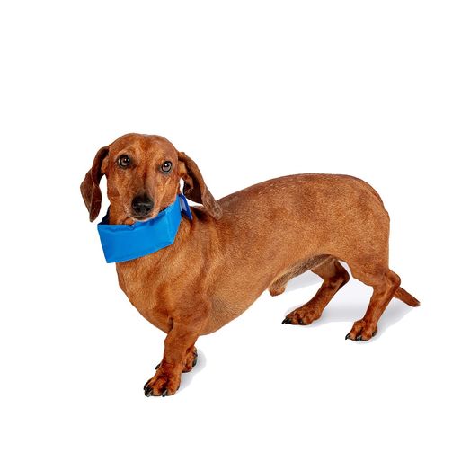 Danish Design Pet Cooling Collar
