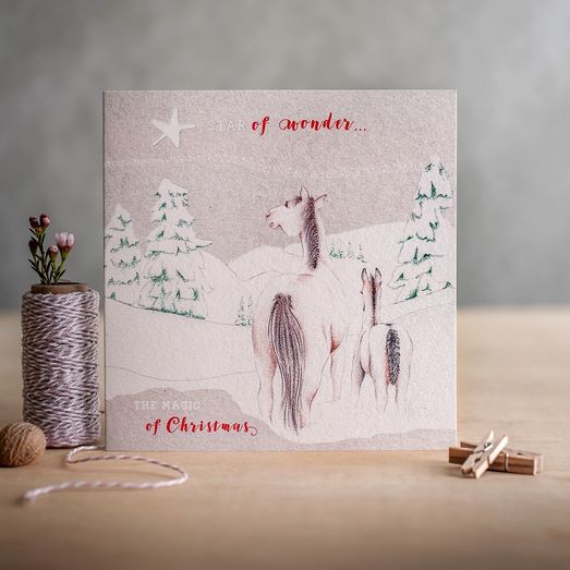 Deckled Edge Christmas Star Of Wonder