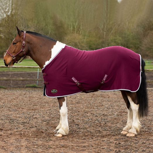 Gallop Premium Jersey Cooler Rug Burg/White/Grey Burgundy/White/Grey
