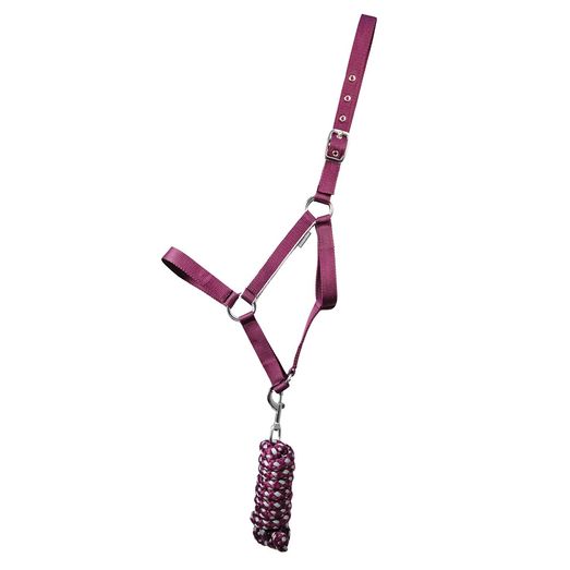 Hy Equestrian Synergy Headcollar &amp; Lead Rope Fig/Silver