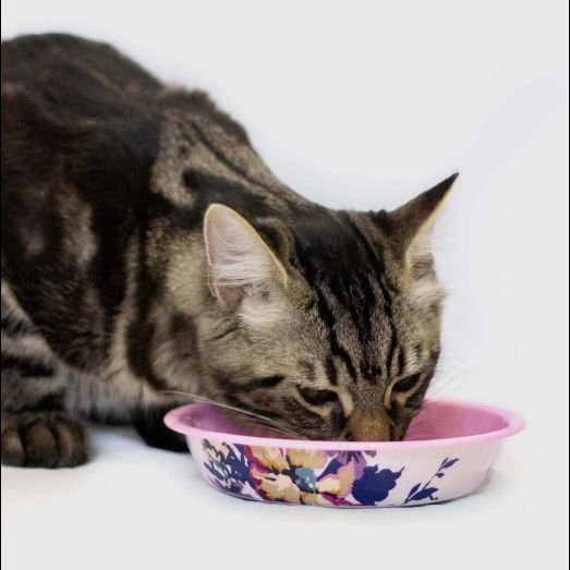 Joules Cambridge Floral Cat Bowl