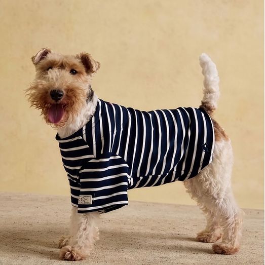 Joules Harbour Top