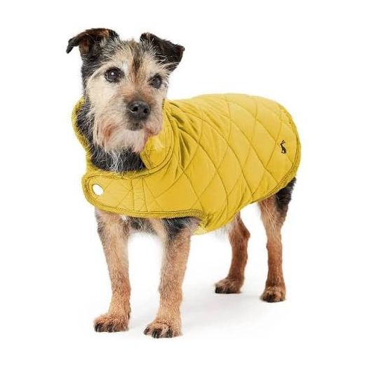 Joules Quilted Dog Coat Antique Gold