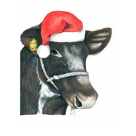 Kevin Milner Christmas Cards Christmas Shorthorn Cow