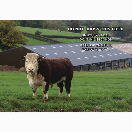 Kevin Milner Countryside Cards Do Not Cross The Field