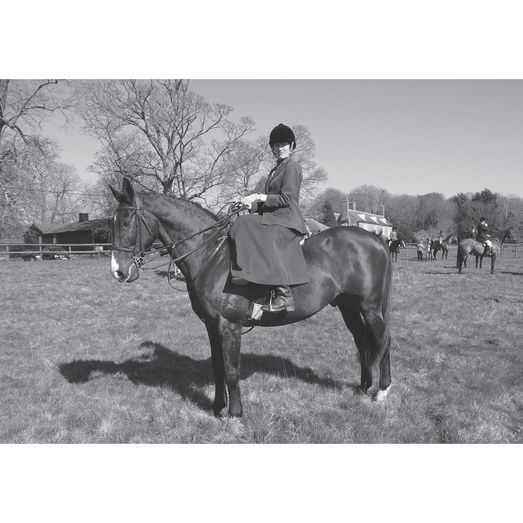 Kevin Milner Countryside Cards Side Saddle