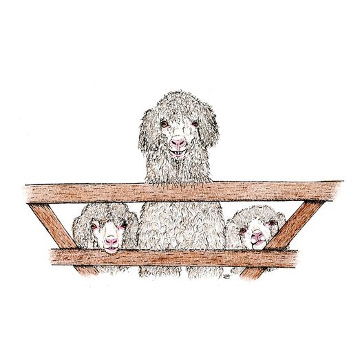 Kevin Milner Countryside Cards Three Goats