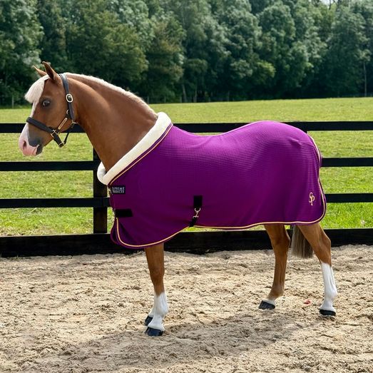 Supreme Products Royal Celebration Quilted Show Rug Purple