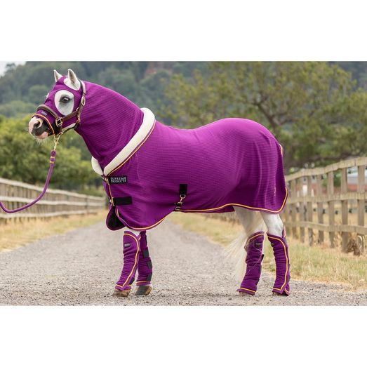 Supreme Products Royal Celebration Show Lead Rope Purple