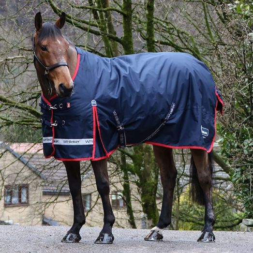 Whitaker R445 Rastrick V2 200g Standard Turnout Rug Navy