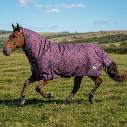 W-Horse Whr18 250g Combo Turnout Rug Purple Floral
