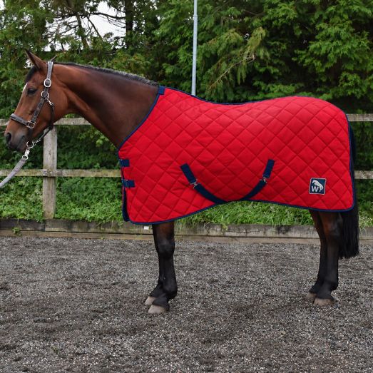 W-Horse Wr130 Mis 100g Stable Rug Red