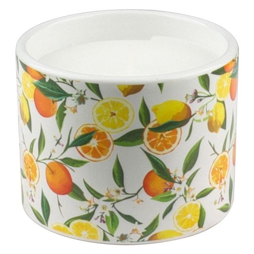 Premier Citronella Candle In Pot St Clements
