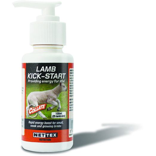 Nettex Collate Lamb Kick-Start Nutritional Supplement (100ml)