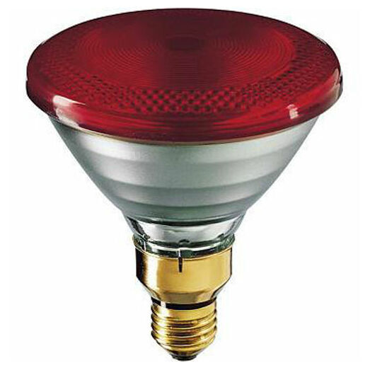 Philips E27 Economy Infrared Heat Lamp - 100w/175w